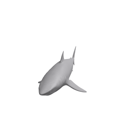 Megalodon