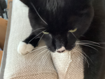 Img_1544.jpeg