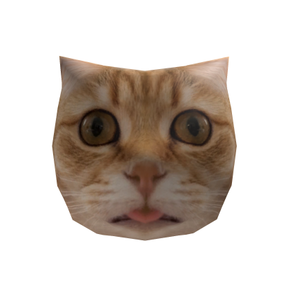 Funny Cat Surprised head Face