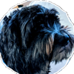 Kmpallone's fan group