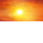 Sunny Hotels and Resorts