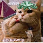 Paws & Paws
