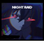 NlGHT RAID