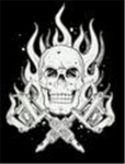 elite shadow assassins