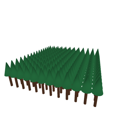 Tall Tree Forest