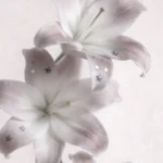 Raspberry group for life Group Thumbnail
