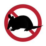 Not Armadillo Games