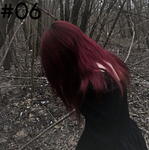 #06 fg