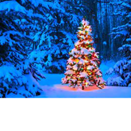 chrismas 1 day left....