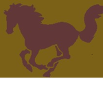 Stallion Square Merchant Company