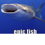 Epic fishies