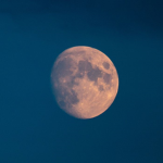 ~Moonlight_Clothing~