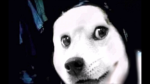 Hijdiryidurjr