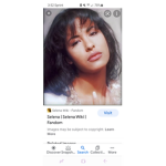 Selena los dinos