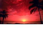 ~sunset love