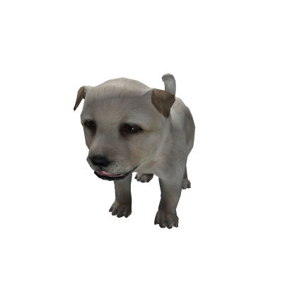 Puppy/dog