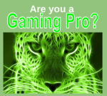 gaming pro?