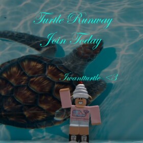 Turtle Runway V1
