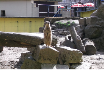 A  Great,Big Mansion!