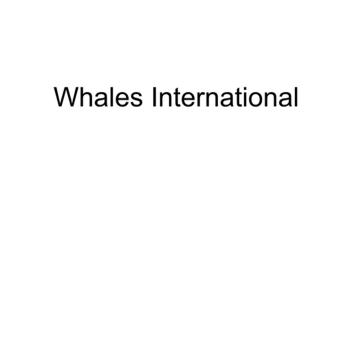 Whales International Airport