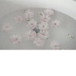 flowers apparel <3