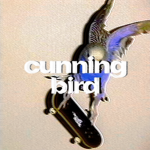 cunning bird