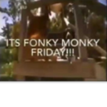 funky monkies!!!!