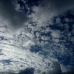 high sky ducks