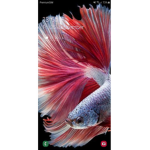 Fish.......