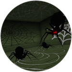 Spider Dungeon Discovered