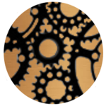 Steam Overdrive Studios