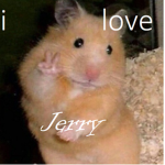 Jerry The Hamster
