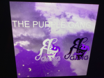 __PURPLE STUDIO__