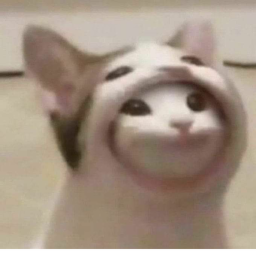 pls donate popcat
