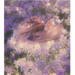 Axstherexl
