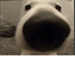 ks omkm