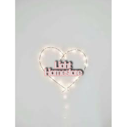 Light home store