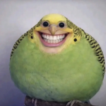 Tuffz