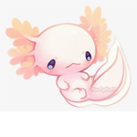 AXOLOTL bop club