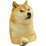 jimmy the doge