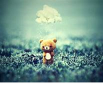 Teddy Bearrs...!