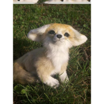 Fox Squad And Deer Squad!