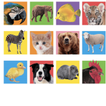 |~Animal Club!~|