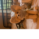 -/::)Doggo)::\-