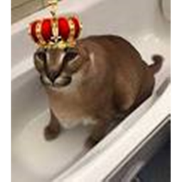 praise floppa man