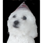 Da Doggo Party