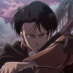 for Levi fans, levi cosplayers, and levi fan girls