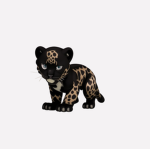 BLACK COUGARS BC