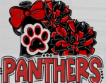 PANTHERS CHEER TEAM