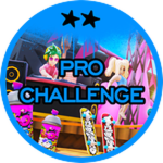 Pro Challenge